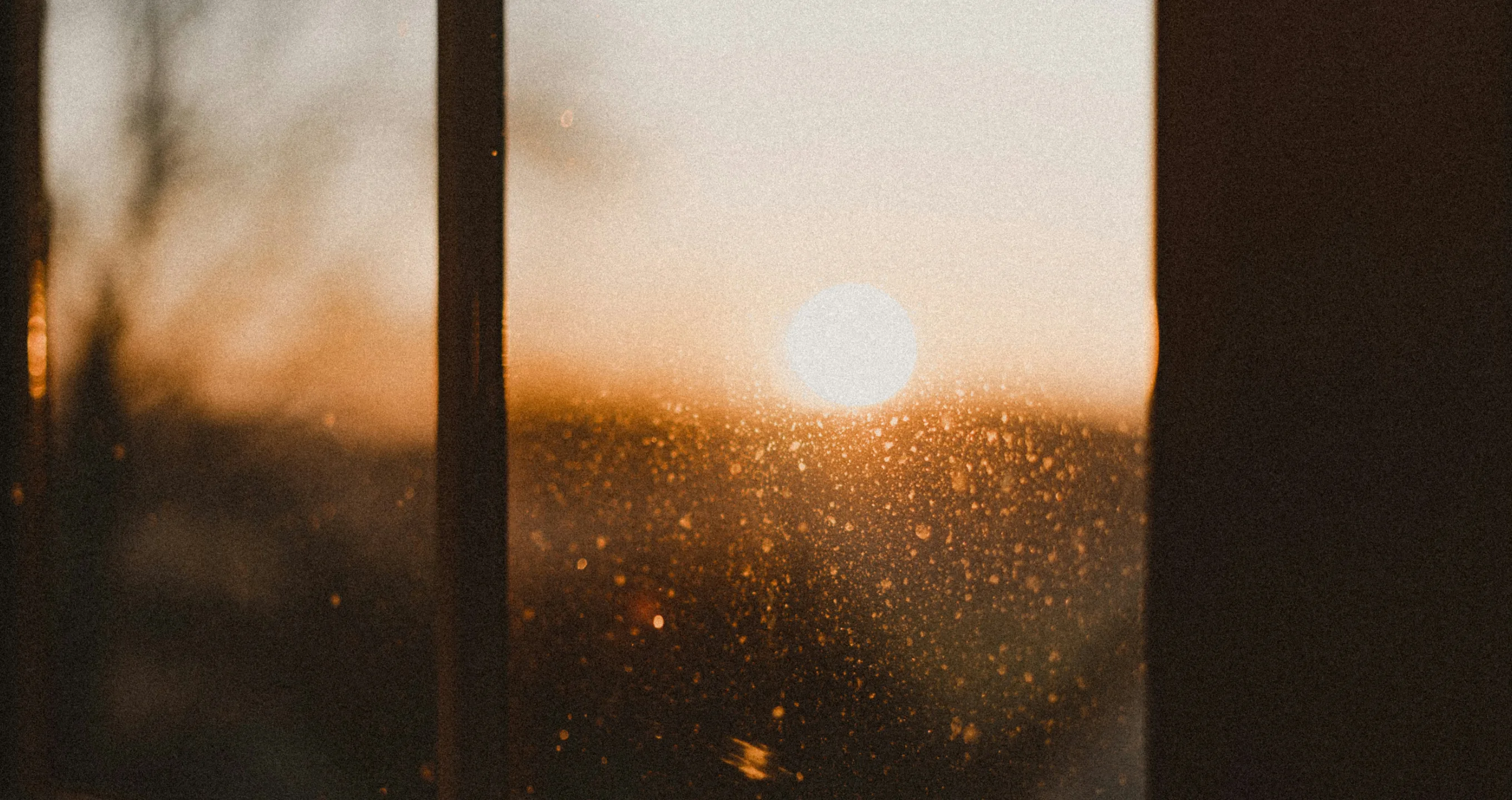 Soft morning sunlight streaming through a tall window into a calm, light-filled room