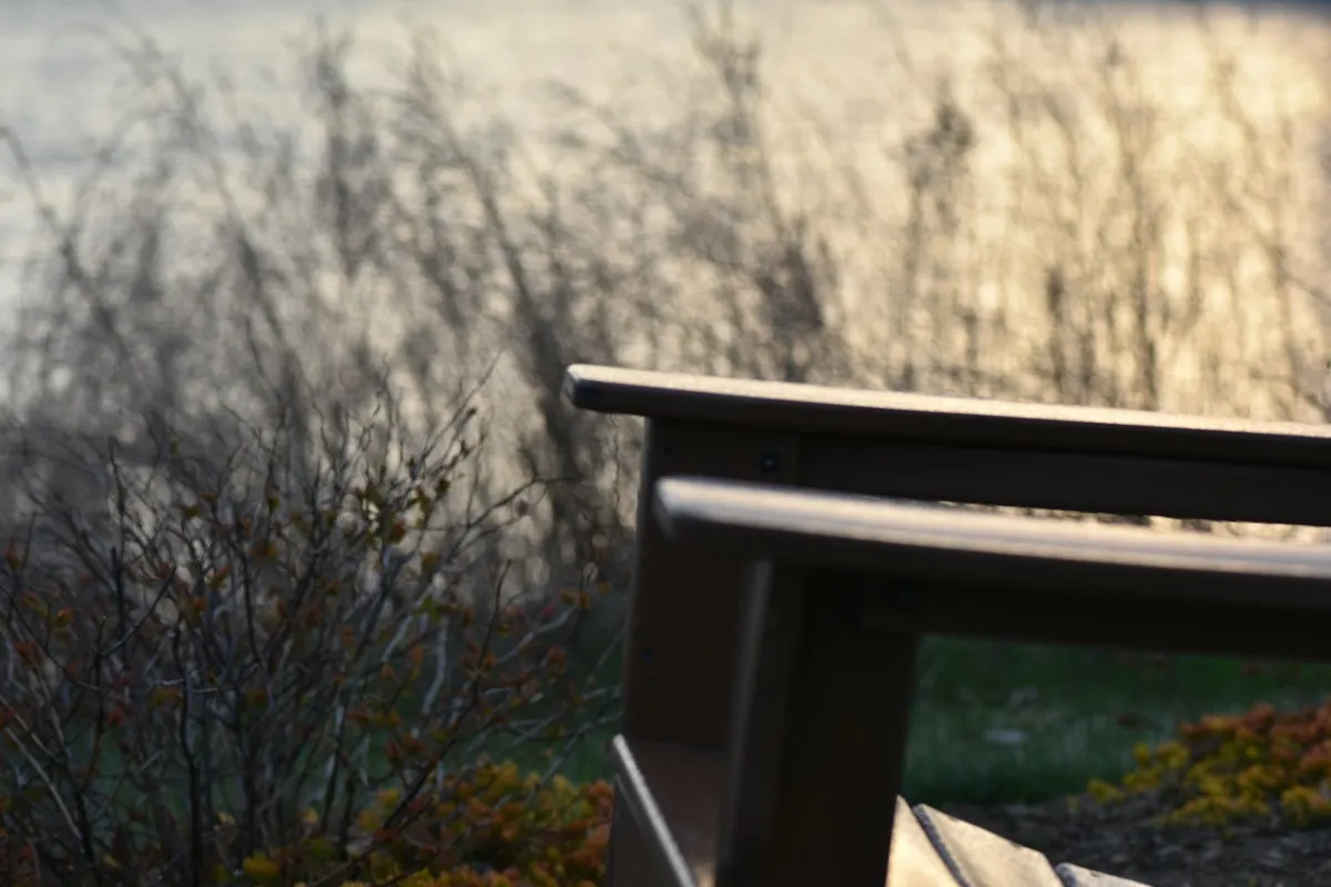 A wooden bench overlooking a calm winter shoreline at golden hour