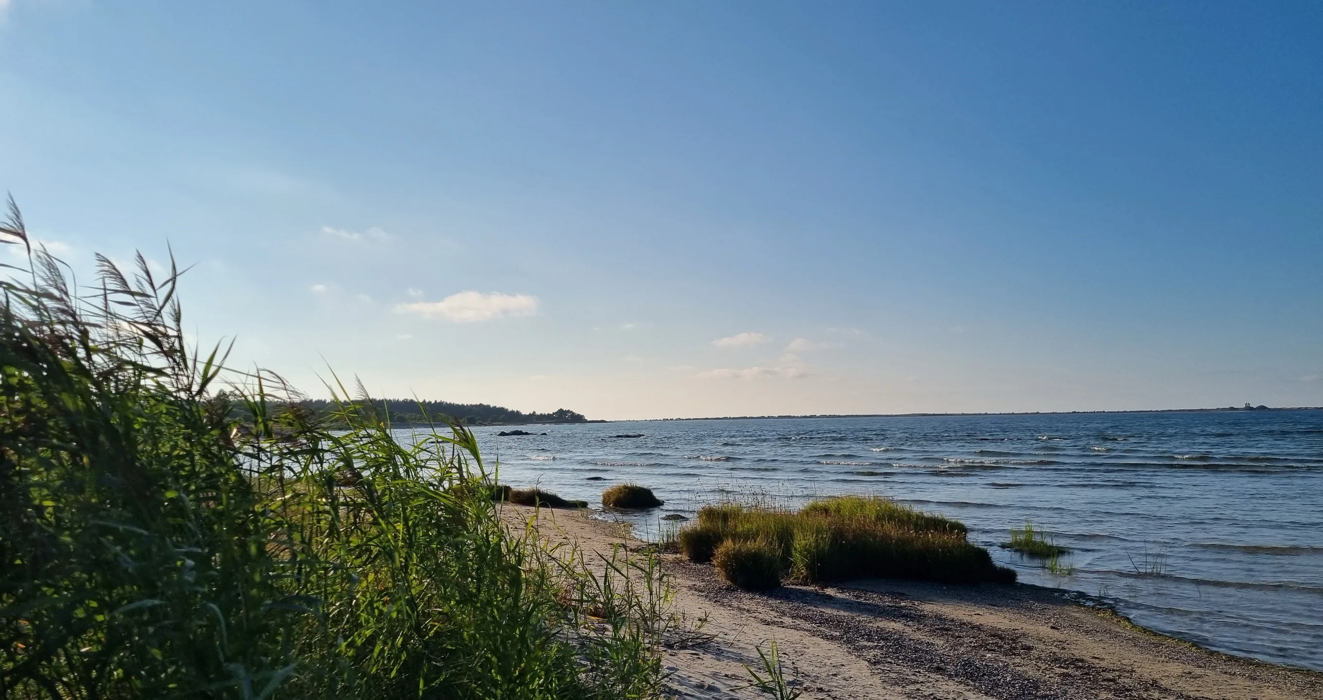 A calm shoreline in the early evening light, with tall beach grass in the foreground, gentle waves, and an open blue sky.